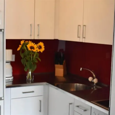 Апартаменты Channa By Interhome Саас-Альмагель